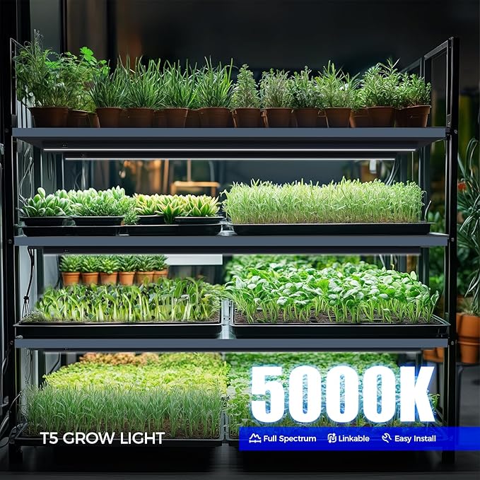 Barrina T5 Plant Lights for Indoor Growing, 3FT 128W (8 X 16W) Led Grow Light with Magnetic Design, Full Spectrum Grow Light Strip with Black Cover, Plug and Play, 5000K, 8 Packs