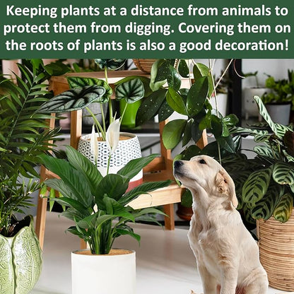 ZeeDix 10 Pack Coconut Fiber Mulch Ring, 9 Inch Coco Coir Tree Ring Mulch Mat, 100% Natural Tree Protector Mat Plant Cover Ring Coconut Coir Discs Tree Mats Mulch Rings for Indoor Outdoor Trees Plants