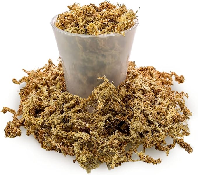 Premium Grade Sphagnum Moss by Gardenera - Organic Hand Mixed New Zealand Long Fibered Sphagnum Moss Orchid - 1 Quart
