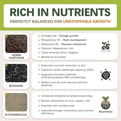 AROID Potting Mix/Premium Soil for Monstera, Philodendron, Alocasia, Anthurium – Chunky, Optimally Aerated Soil – Organic & Ready to Use – Supercharges Root and Foliage Growth (8 QTS)