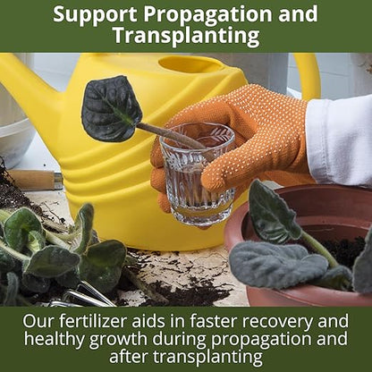 3-1-2 African Violet Fertilizer for Indoor Plants: Liquid Fertilizer with Essential Micronutrients Drops - Plant Food for African Violets (8 oz)