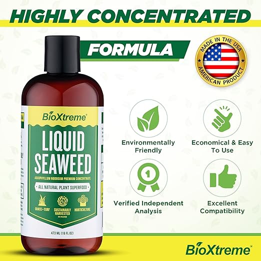Liquid Seaweed Premium Concentrate - All Natural Kelp Fertilizer - Enhances Plant & Flower Growth + Seed Germination & Root Development - 16 Oz