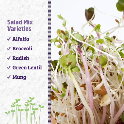 Back to The Roots 100% Organic 5-Part Salad Seeds | 1 Pound Non-GMO | Nutrient Dense, Easy to Grow, Rich in Fiber