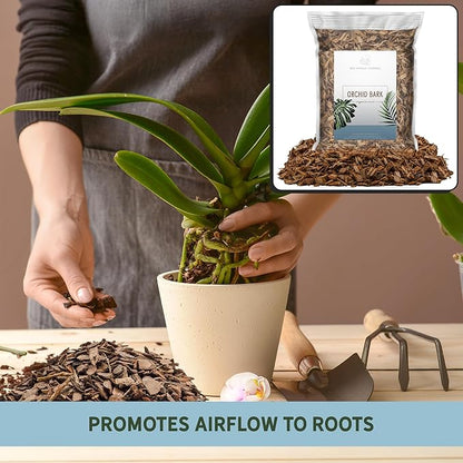 100% Organic Material All Natural Orchid Bark (8 Quarts), Long Lasting All Natural, High Flowering and Aeration for Orchid Plants, Vanda,Phalaenopsis, Cattleya and Houseplant Repotting