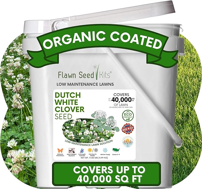 Flawn Seed Kits Dutch White Clover Seeds Organic Coated, 11 Lbs, Natural Lawn, Ground Cover, Hunting Food Plot, Covers up to 40,000 Sqft