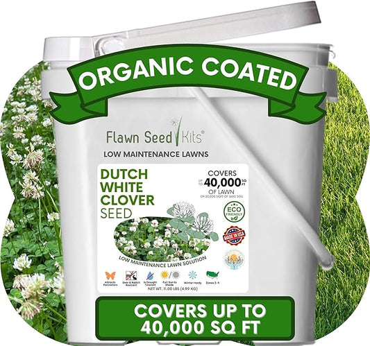 Flawn Seed Kits Dutch White Clover Seeds Organic Coated, 11 Lbs, Natural Lawn, Ground Cover, Hunting Food Plot, Covers up to 40,000 Sqft