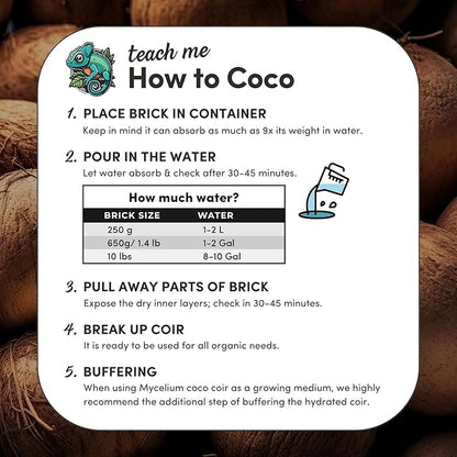 Mycelium Coco Coir Brick Mushroom Growing Kit I Expandable Organic Coconut Fiber Substrate I Indoor Mushroom Cultivation for Starter & Pro Home Growers I OMRI Certified & Non-GMO, 10lbs