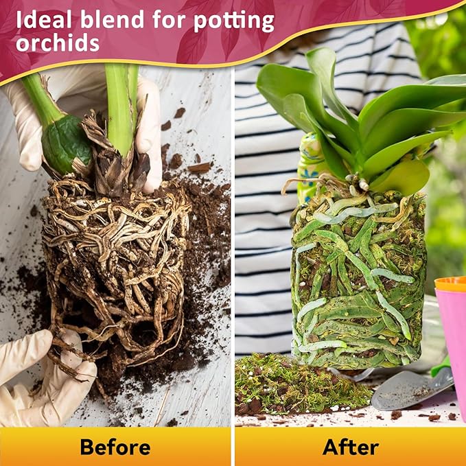 Riare 1QT Orchid Potting Mix for Repotting- Orchid Repotting Kit Include Moss, Pine Bark, Perlite, Coco Peat- Premium Orchid Soil Medium for Indoor Potted Plants Root Ventilation & Expanding