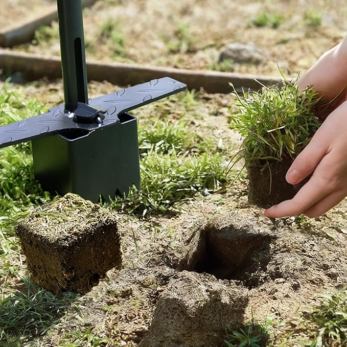 Colwelt Sod Plugger Tool 36-INCH, Grass Plug Tool 3 x 3 Square with Serrated Base, Long Handle Bulb Planter Tool with Dual Pedals & Easy Foot Ejector, Sod Turf Cutter for Lawn Planting Grass Repair