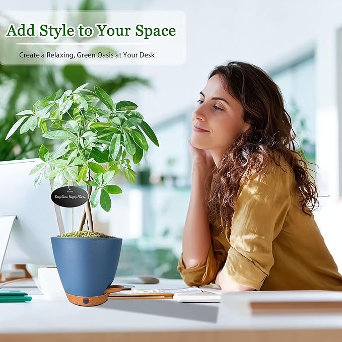 6 Inch Self Watering Pots for Indoor Plants (5-Pack) – Small Plastic Planters with Water Window, Drainage Holes & Trays, Indoor Outdoor Flower Pots for Herbs, Succulents, Home Garden Decor (Navy Blue)