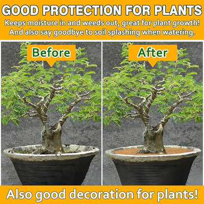 ZeeDix 3 Pack Coconut Fiber Mulch Ring, 30 Inch Coco Coir Tree Ring Mulch Mat, 100% Natural Tree Protector Mat Plant Cover Ring Coconut Coir Discs Tree Mats Mulch Rings for Indoor Outdoor Trees Plants