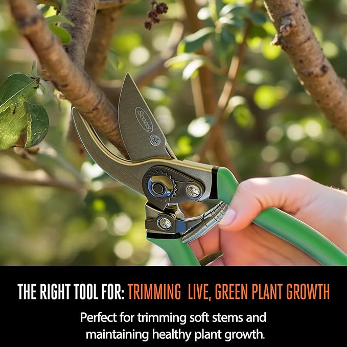 Scotts 2-Piece Pruning Tool Set – Includes 8 in. Bypass Pruning Shears for Live Plants and Soft Stems, and 7.5 in. Folding Saw for Cutting Thick Branches