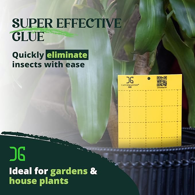 Catchmaster GRO Yellow Large Double Sided Sticky Traps 50PK, Adhesive Bug & Fruit Fly Trap, Pest Control for Home, Farm, Garden, Hydroponics & Greenhouse, Protect Live Plants Indoor & Outdoor