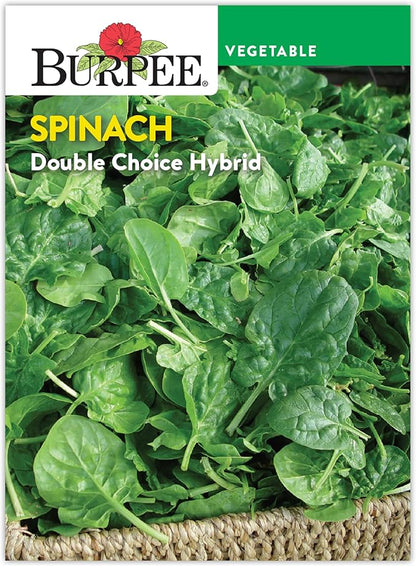Burpee Double Choice Hybrid Spinach Seeds - Fast-Growing, Upright Greens