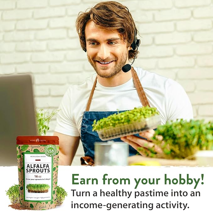 HOME GROWN Non GMO Alfalfa Sprout Seeds 16oz Bulk Pack with Thousands of Seeds Alfalfa for Sprouting & Microgreens Indoor Outdoor Growing Resealable Bag High Germination