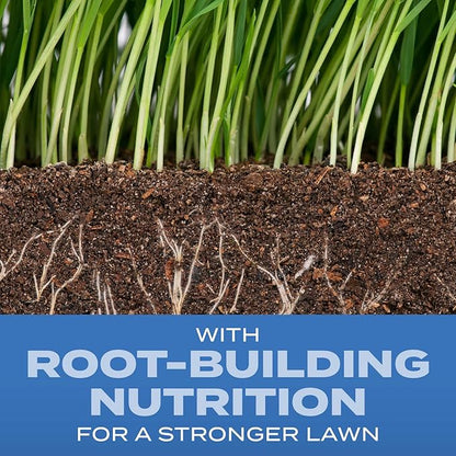 Scotts Turf Builder Grass Seed Sun & Shade Mix with Fertilizer and Soil Improver, Thrives in Many Conditions, 5.6 lbs.