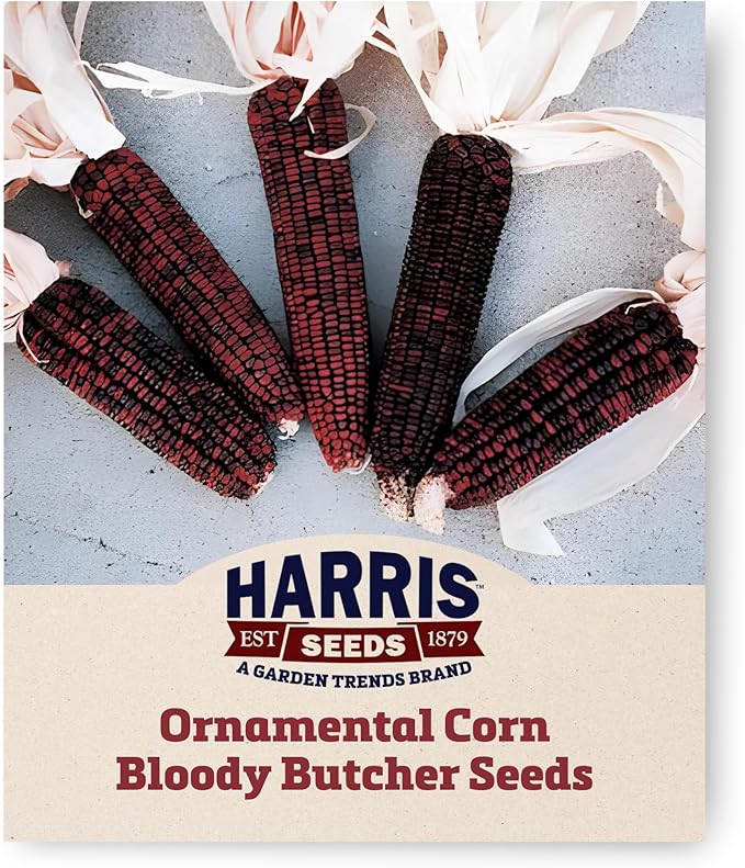 Garden Trends - Ornamental Corn Seeds - Bloody Butcher Variety - Non-GMO Vegetable for Outdoor Planting Home Garden - Blood Red Kernel Color - 100 Seeds