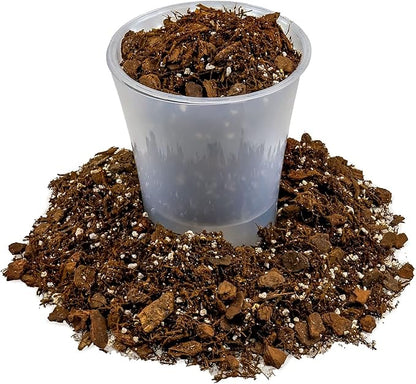 Gardenera Premium Alocasia Plant Potting Mix - Crafted for Thriving Growth and Striking Elegance - 1 Quart, MAIN-ALOCASIA-1QT