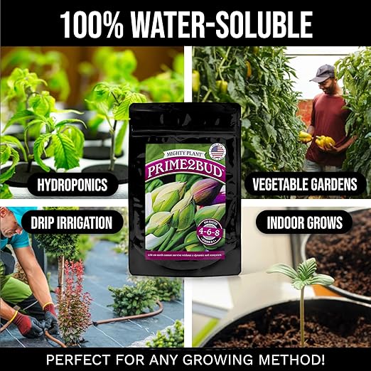 Flowering Bloom Booster Plant Enhancer – Arginine-Powered Growth Formula for Explosive Bloom & Fruit Set | Prime2Bud Ideal for Garden Flowers & Fruit-Bearing Vegetables (5, Ounces)