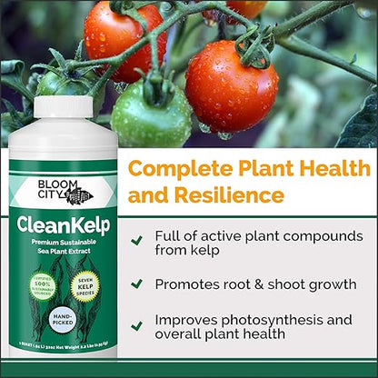Bloom City Organic Liquid Seaweed and Kelp Fertilizer Supplement (128 oz) Concentrated Makes 750 Gallons