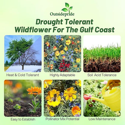 Outsidepride Gulf Coast Wildflower Seed Mix - 1/4 lb Perennial & Annual Wild Flowers for Full Sun & Partial Shade - Ideal for Pollinator Gardens & Vibrant Landscapes for Southern Florida & Texas