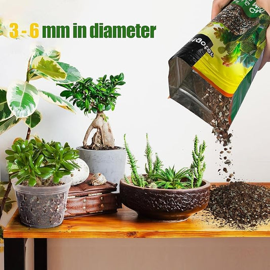 Succulent & Cactus Soil Potting Mix 1qt, Natural Organic Potting Mix for Cactus, Succulent, Palm, and Citrus Grown in Containers Indoors and Outdoors