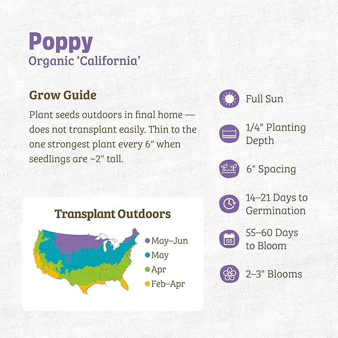 Back to the Roots 100% Organic Seed Packet - Poppy 'California'