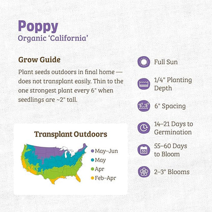 Back to the Roots 100% Organic Seed Packet - Poppy 'California'