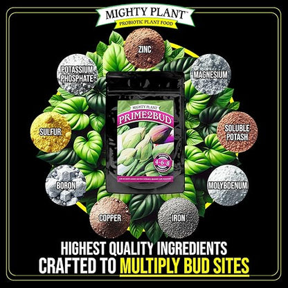 Flowering Bloom Booster Plant Enhancer – Arginine-Powered Growth Formula for Explosive Bloom & Fruit Set | Prime2Bud Ideal for Garden Flowers & Fruit-Bearing Vegetables (1, Pounds)