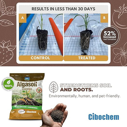 Granulated Seaweed Extract Stimulator - 5lb (80 oz) - Stronger Root Growth, Quick Visible Results, Ideal for Organic Crops, Apply Directly, Easy Aply.