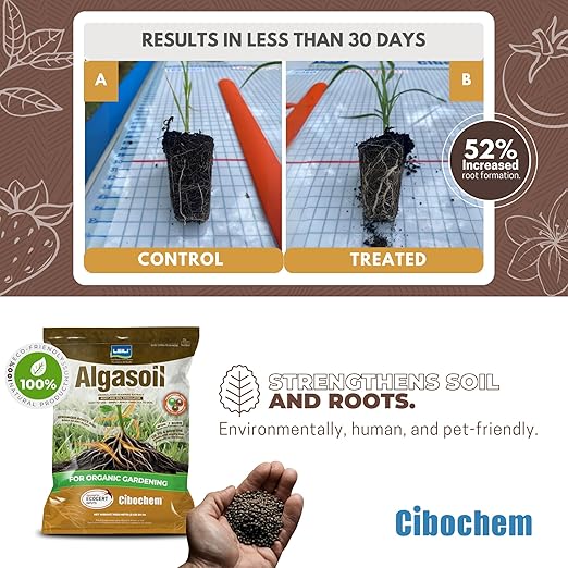 Granulated Seaweed Extract Stimulator - 5lb (80 oz) - Stronger Root Growth, Quick Visible Results, Ideal for Organic Crops, Apply Directly, Easy Aply.