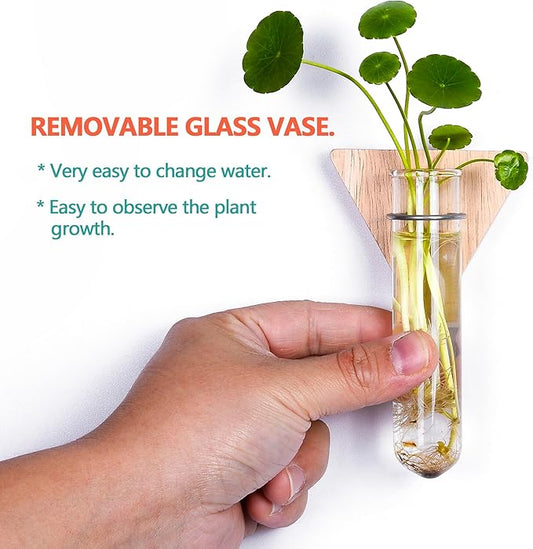 MITIME Wall Hanging Planter Glass Plant Propagation Station,Geometric Wooden Stand for Home Office Decoration.