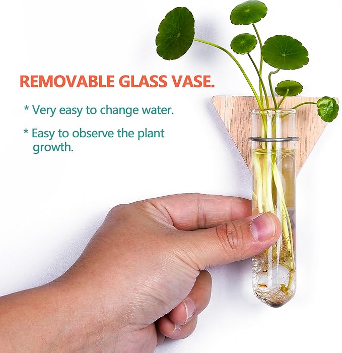 MITIME Wall Hanging Planter Glass Plant Propagation Station,Geometric Wooden Stand for Home Office Decoration.