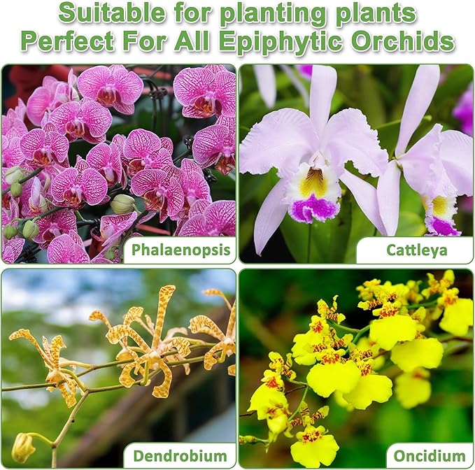 Orchid Potting Mix for Repotting - 2.5QT Fast-Draining Soil with Pine Bark, Perlite, Moss & Leca Clay, Breathable Mix for Healthy Roots,Ideal for Repotting & Indoor Orchid Plants