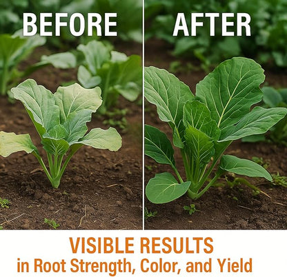 GS Plant Foods Liquid Kelp Fertilizer – Suitable for Organic Growing, OMRI Listed Seaweed Concentrate for Lawns, Gardens & Soil - 5 Gallons