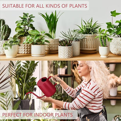 Watering Can Indoor Plants, 35oz Small Stainless Steel Metal Watering Can Modern Decorative Watering Pot with Long Spout for Indoor House Plant Bonsai Garden Flowers (Red)