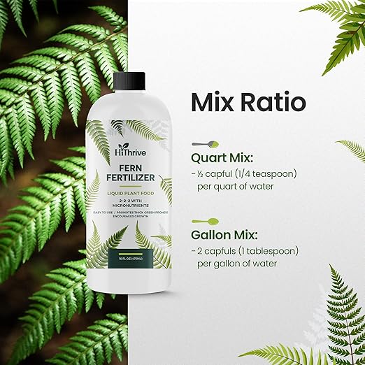 16oz Fern Fertilizer for Live Ferns - Makes 32 Gallons of Fertilizer for Ferns, Indoor Plant Food for Greener Growth and Dense, Resilient Fronds with Intricate Texture - Ideal for All Fern Plant Live