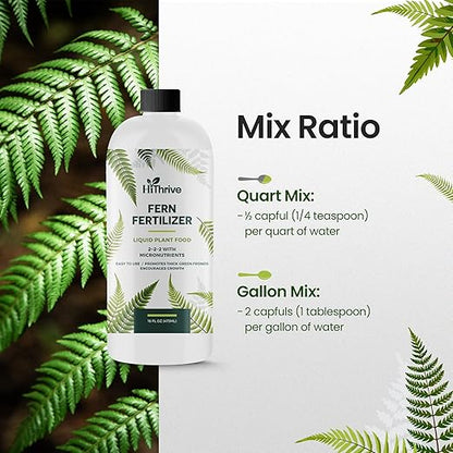 16oz Fern Fertilizer for Live Ferns - Makes 32 Gallons of Fertilizer for Ferns, Indoor Plant Food for Greener Growth and Dense, Resilient Fronds with Intricate Texture - Ideal for All Fern Plant Live