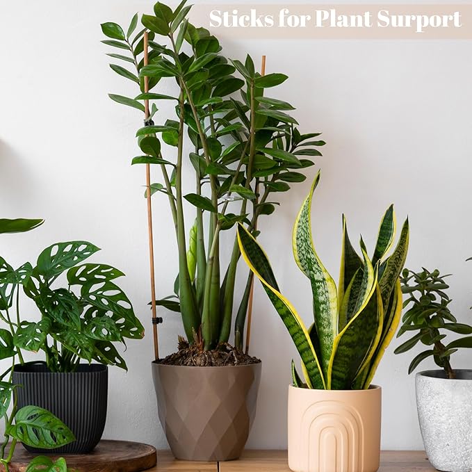 300PCS Marshmallow Roasting Sticks,30 Inch Marshmallow Sticks for Fire Pit Extra Long Wooden Sticks 5mm Thick Bamboo Skewers for Smores Roaster Barbecue Campfire,Weddings and Plant Stakes