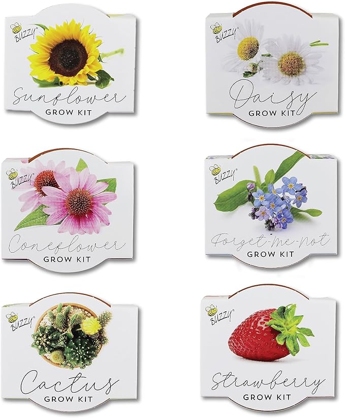 BUZZY Seeds Terracotta Mini Grow Pots 6-Pack – Indoor Gardening Seed Starter Kit with Herbs & Flowers – DIY Grow Your Own Plants Kit for Beginners