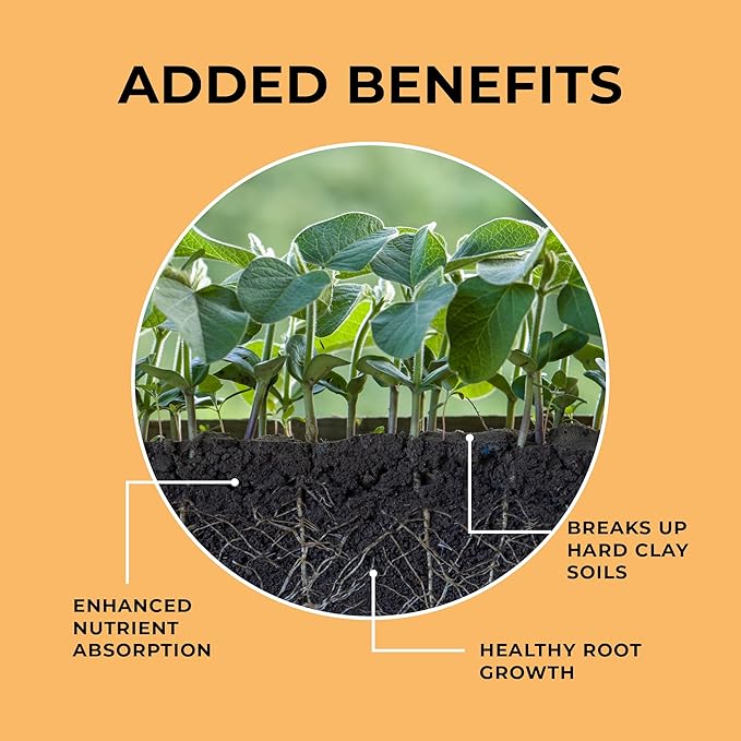 Mycelium Coco Coir Brick I Expandable Organic Coconut Fiber Substrate I Plants Potting Soil Mix for Indoor & Outdoor Gardening, Succulents & Cactus I OMRI Certified & Non-GMO Soil Alternative, 10lbs