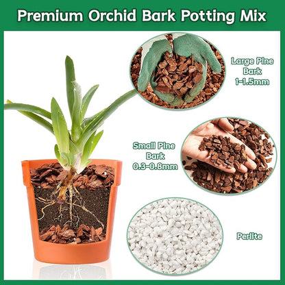 Orchid Bark Potting Mix, 1QT Premium Orchid Potting Mix, Orchid Bark for Indoor Plants with Pine Bark & Perlite, Superior Ventilation & Drainage to Boost Plants’ Growth, Orchid Soil