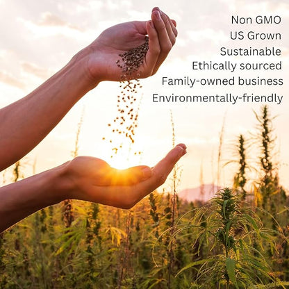 Massachusetts Bulk Perennial Wildflower Seed Mix 1lb Covers 2,000sq-ft - Attract Pollinators, Multi-Color Blooms - Northeast US Species Plant in Spring/Fall - Earth-Friendly Packaging (1/2 Pound)