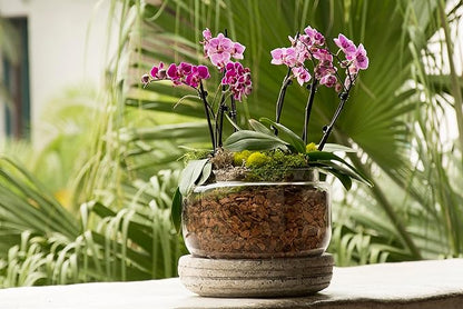 SuperMoss (23112) Orchid Potting Bark, 100% Natural Douglas Fir Bark, 3/4", 2 Cu. Ft.