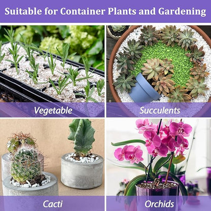 Riare 10 Quarts Organic Perlite for Plants - Horticultural Perlite Soil Amendment for Plants Potting Mix, Natural Chunky Perlite Soil Additive Conditioner Improve Root Growth, Drainage and Ventilation