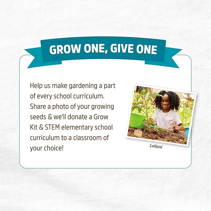 Back to The Roots 100% Organic Seed Packet - Echinacea 'Purple Coneflower' 210mg