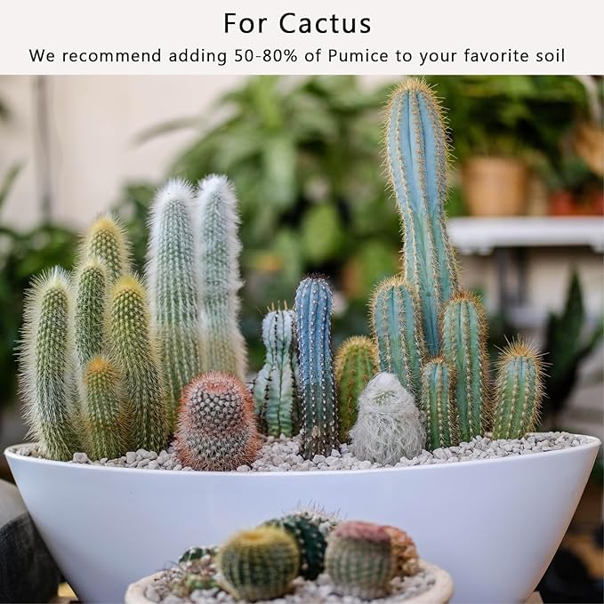 Horticultural Pumice for Plants 10QT, Natural Organic Pumice Stones for Succulent Cactus Bonsai Tree Orchid Potting Mixed, Improves Soil Aeration and Drainage, Promotes Root