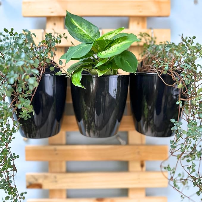 LaLaGreen Wall Planters for Indoor Plants - 10 Pack, 4 Inch Black Self Watering Pots Modern Indoor Hydroponic Vertical Live Garden Wall Mounted Hanging Plant Holder