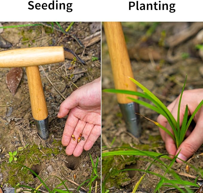 FLORA GUARD Hand Dibber Garden Tool, Seed Planter Tool with Wood Handle for Sowing Seed - 5