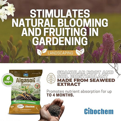 Granulated Seaweed Extract Stimulator - 5lb (80 oz) - Stronger Root Growth, Quick Visible Results, Ideal for Organic Crops, Apply Directly, Easy Aply.